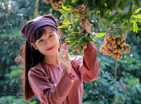 Image: Khoai Chau tourism – a cultural land full of sweet and fragrant flowers