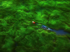 Image: Beautiful Vietnam in the series of aerial photography winning international award