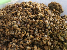 Image: Mussel vermicelli soup helps to cool down summer heat