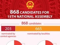 Image: 868 candidates for 15th National Assembly