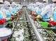 Image: Businesses in Vietnam unaffected by India situation