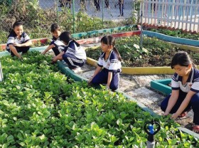Image: Ho Chi Minh City students learn by growing school gardens