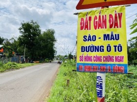 Image: 'Land fever' harming the economy: experts