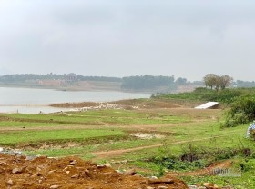 Image: 'Land fever' is subsiding