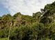 Image: New Zealand donates VND800 mln for protecting, planting forest in Ninh Thuan