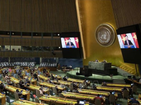 Image: Presidency of UNSC in April marks a new milestone in Vietnam s diplomacy
