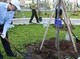 Image: Tree-planting campaign launched in HCMC to mark Uncle Ho’s birthday