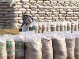 Image: Vietnam would remain world s second largest rice exporter US department of Agriculture