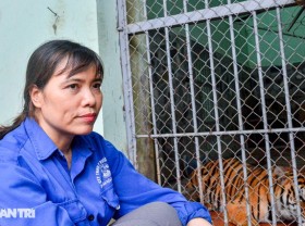 Image: Strangely, the woman of 20 years bathed the tiger, caught the lice for the lion