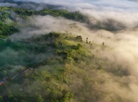 Image: USAID launches environmental conservation projects in Vietnam