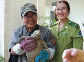 Image: Wildlife violations reduced in Hue, Quang Nam and Da Nang