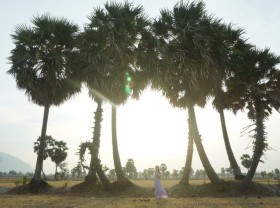 Image: About An Giang: Confused with palm trees in the field