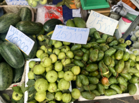 Image: Vietnam mango exporters face stress as China licenses Cambodian mango imports