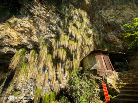 Image: Cave ’99 mountains, 99 lakes’ between the Northwest forest