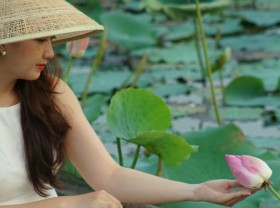 Image: Cool eyes with the lotus lake in the blooming season