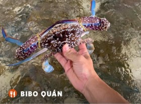 Image: Eat seafood in Phan Thiet
