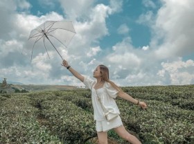 Image: Gia Nghia tea hill in Dak Nong – the perfect background for shimmering photoshoots