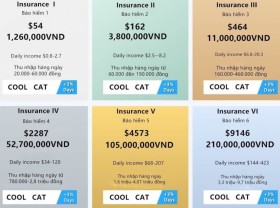 Image: Coolcat trading floor collapses, more than VND200 billion vanishes