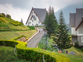 Image: The ‘beautiful, forget the way back’ play place in Da Lat