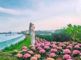 Image: The ‘flower paradise’ blooms brightly on Ha Long Bay