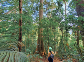 Image: Discover the surreal beauty of Bu Gia Map forest