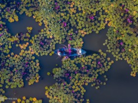 Image: Water lily pond at the foot of Eo Gio pass