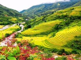 Image: Forbes Vietnam is one of top 5 most visited destination in Southest Asia