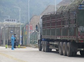 Image: Vietnam suggests China exempt Vietnam's frozen products from Covid-19 tests