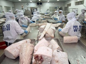 Image: Vietnam’s April tuna exports skyrocket