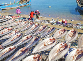 Image: U S blocks seafood from Chinese fleet suspecting of forced labor with crew