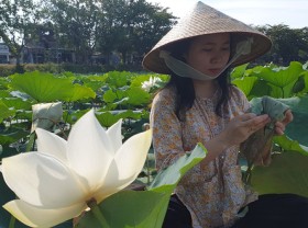 Image: A mission to search for Vietnam's lost royal lotus flowers