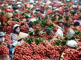 Image: Agriculture ministry seeks six ministries’ help in boosting farm produce consumption