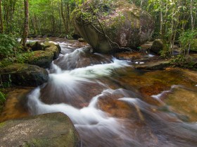 Image: Beautiful springs in Phu Quoc – low notes in the middle of the vibrant Pearl Island