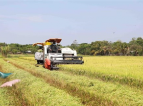 Image: Australian enterprises keen on agricultural technology in Vietnam