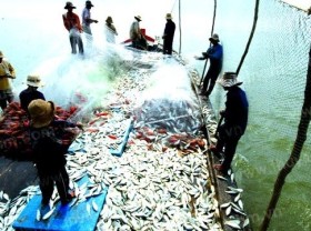Image: Boosting aquaculture to improve value of aquatic products