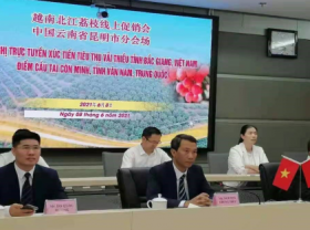 Image: China pledges to create favorable conditions for Bac Giang lychees consumption