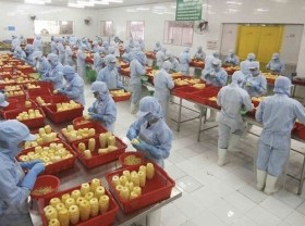 Image: Manufacturing and processing sector playing key role in FDI attraction