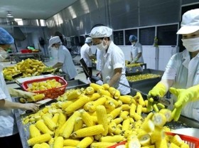 Image: Removing difficulties in consumption of agricultural products