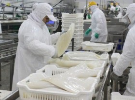 Image: Squid, octopus exports to China remain on the rise
