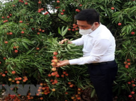 Image: Vietnamese agricultural products introduced to Japan