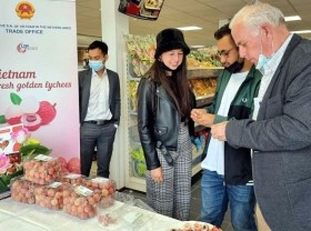 Image: Vietnamese lychees confident of winning over consumer taste in Netherlands