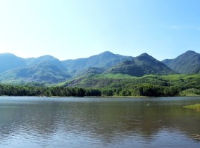 Image: Find peaceful nature in the largest lotus field in Quang