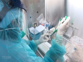 Image: Germany presents 190,000 test kits to Vietnam