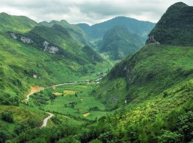 Image: Green corn season on Dong Van rocky plateau
