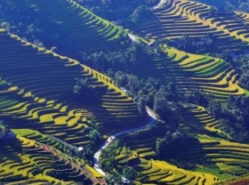 Image: Hà Giang Culture and Tourism Week to honour Hoàng Su Phì terraced fields