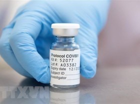 Image: HCMC sets up task forces to purchase, use Covid-19 vaccine
