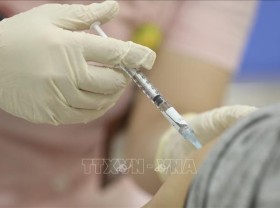 Image: HCMC to establish team to buy Covid-19 vaccines