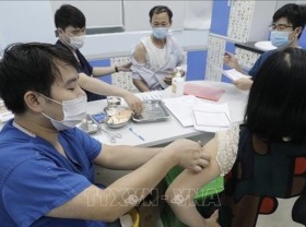 Image: 116 local infections detected on June 24 afternoon
