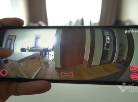 Image: Vietnamese CEO initiates interactive pet cameras in the heart of America