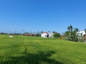 Image: Quang Nam maps out tourism development for next five years, adapting to Covid-19